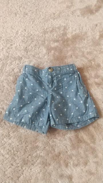 I[hlCr[//V[gpc/120//   LbY/xr[ 