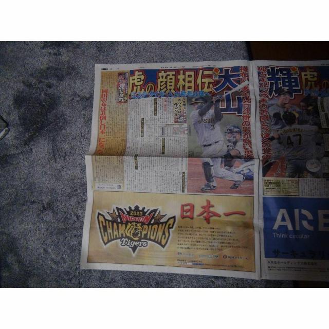 _D38NԂ{ X|[cV2023N11U Vigp !B  zr[ 