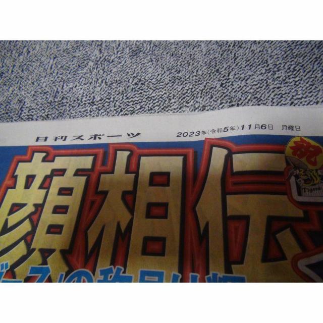 _D38NԂ{ X|[cV2023N11U Vigp !B  zr[ 