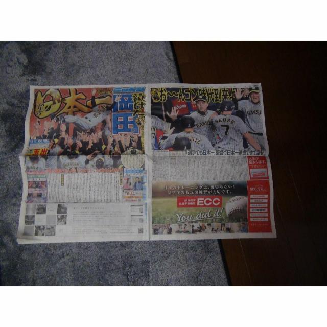 _D38NԂ{ X|[cV2023N11U Vigp !B  zr[ 