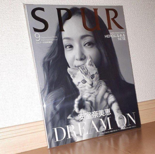 SPUR 2018.9����(�\���E�����ޔ��b) �V���o�[  �� �^�����g�O�b�Y�� 