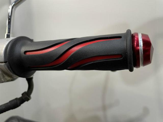 �z���_�W���C�� �J���[���o�[�O���b�v �i���b�h�j �� ������/�o�C�N