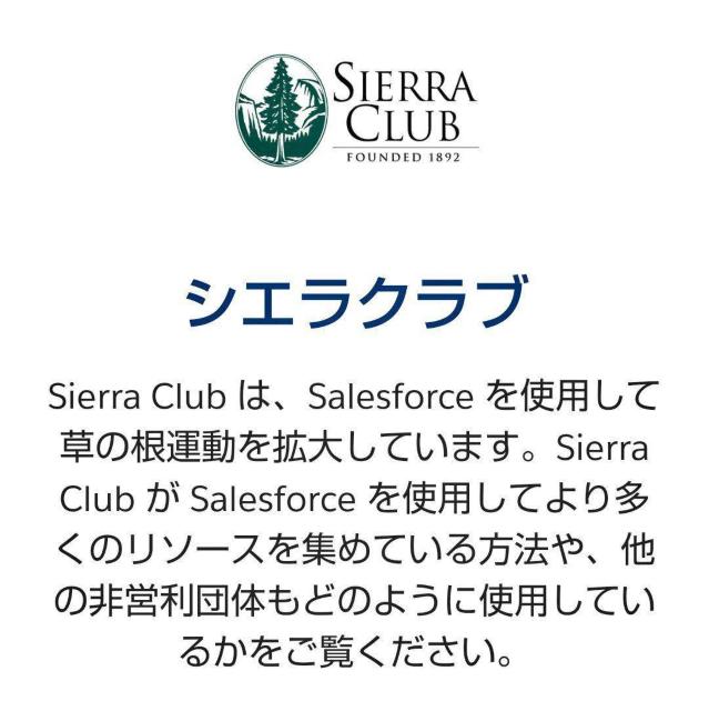 ZIPPO@SIERRA CLUB@Wb|C^[@VG Nu@یc  jt@bV 