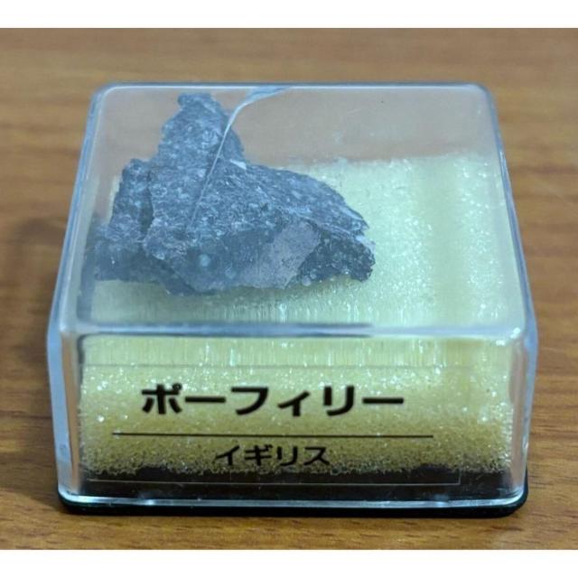 yzfBASXeB[j gW[Xg[ |[tB[ CMX zW{̂ qȂ   zr[ 