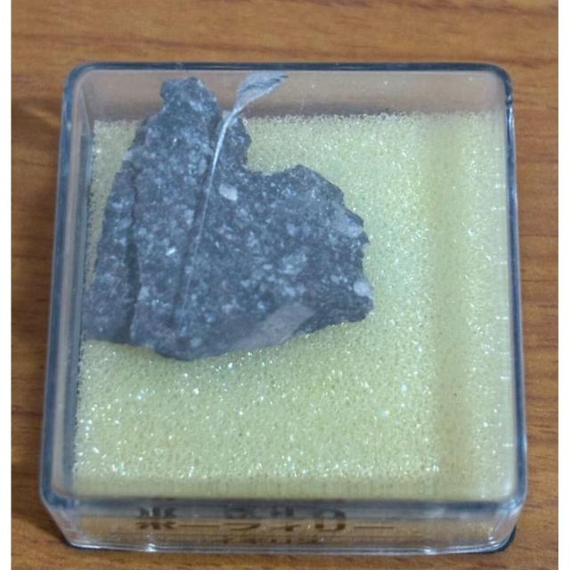 yzfBASXeB[j gW[Xg[ |[tB[ CMX zW{̂ qȂ  zr[ 