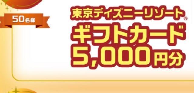 �Z���^�C�A�b�v���f�B�Y�j�[���]�[�g�M�t�g�J�[�h5000�~/50���l1�� �� �`�P�b�g/������ 