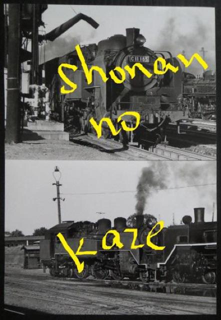 ubPPPWTv̋MdȃLrlTCY̎ʐ^Q   zr[ 