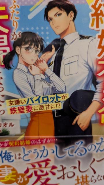 結婚不適合なふたりが夫婦になったら★紅カオル★ベリーズ文庫 < 本/雑誌 結婚不適合なふたりが夫婦になったら★紅カオル★ベリーズ文庫 < 本/雑誌の