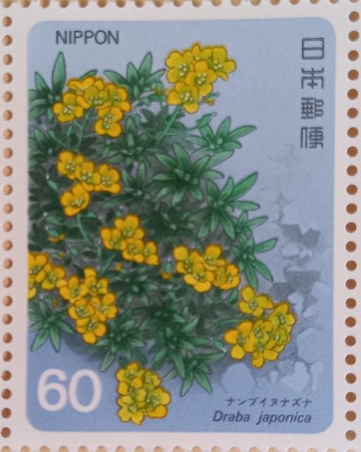 ��60�~�؎�~1�����@���i���u�C�k�i�Y�i��  �� �z�r�[�� 