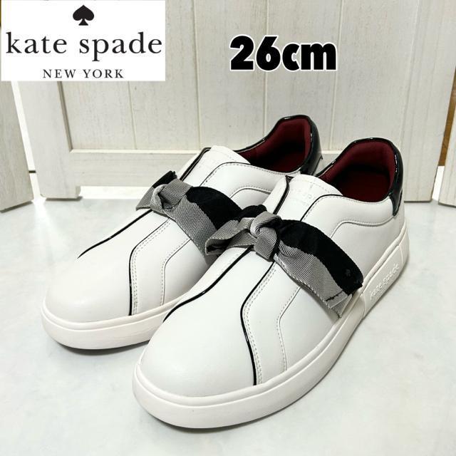 �y���������E��L�z�P�C�g�X�y�[�h Lexi ���N�V�[ �X���b�|�� 26cm  �� �u�����h�� 