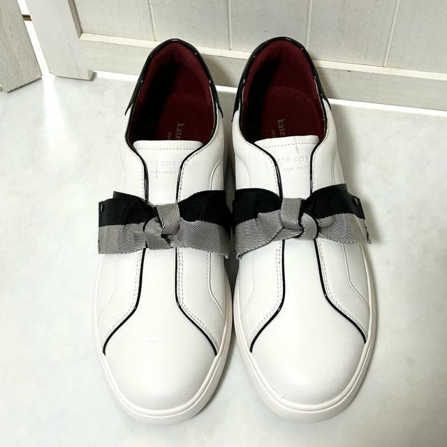 �y���������E��L�z�P�C�g�X�y�[�h Lexi ���N�V�[ �X���b�|�� 26cm �� �u�����h�� 