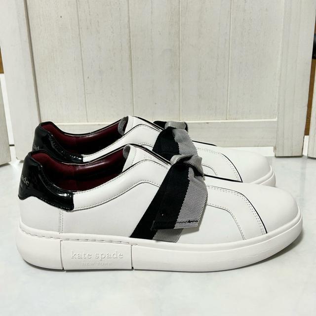 �y���������E��L�z�P�C�g�X�y�[�h Lexi ���N�V�[ �X���b�|�� 26cm �� �u�����h�� 