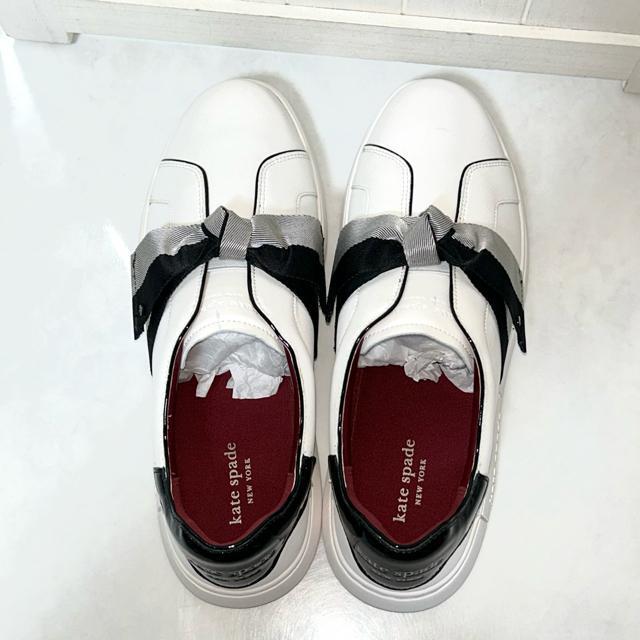 �y���������E��L�z�P�C�g�X�y�[�h Lexi ���N�V�[ �X���b�|�� 26cm �� �u�����h�� 