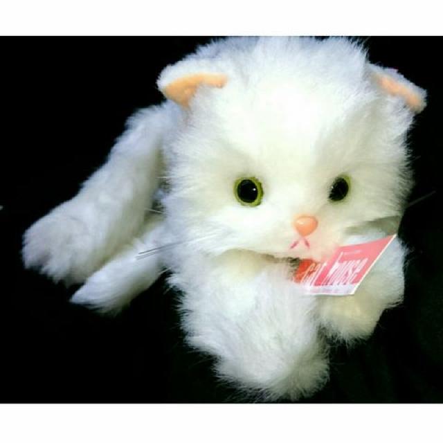激レア 猫 ねこ ネコ オオイケ ペルシャ ぬいぐるみ 昭和 レトロ