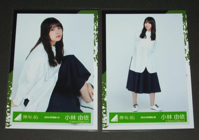 �O��46 ���ʐ^�Q���@���їR�ˁ@2019-SPRING-09  �� �^�����g�O�b�Y�� 