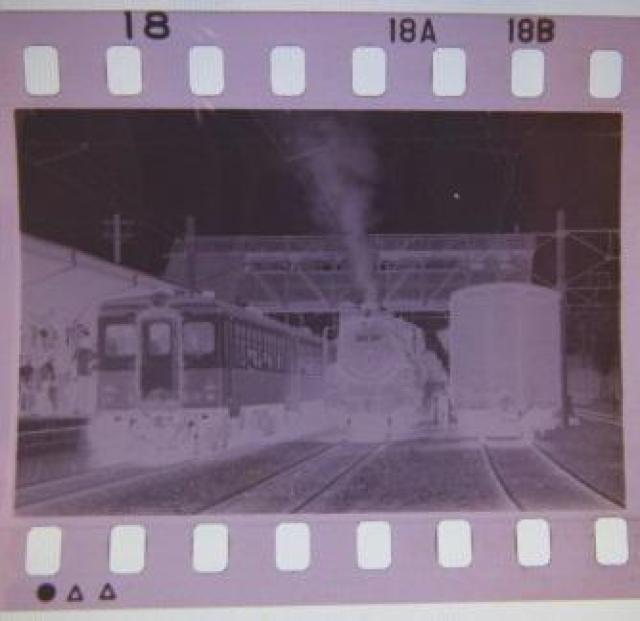 ałȂ^]ucTPRWXv̋MdȃlK   zr[ 