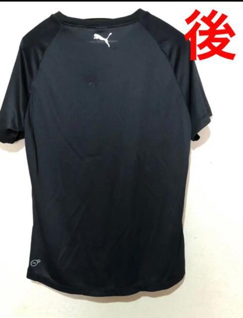 PUMA v[}@ucool cellvfށ@gbvX@l  uh 