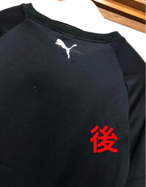 PUMA v[}@ucool cellvfށ@gbvX@l  uh 