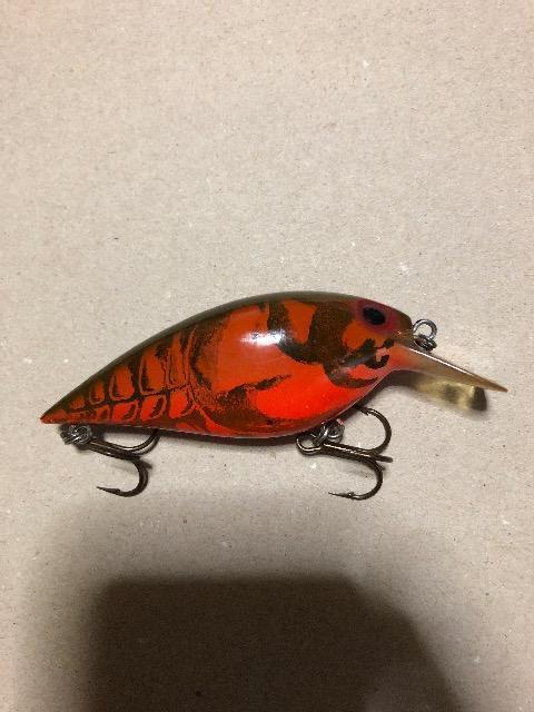 オールドストーム ショートワート大 < レジャー/スポーツ  オールドストーム ショートワート大  < レジャー/スポーツの