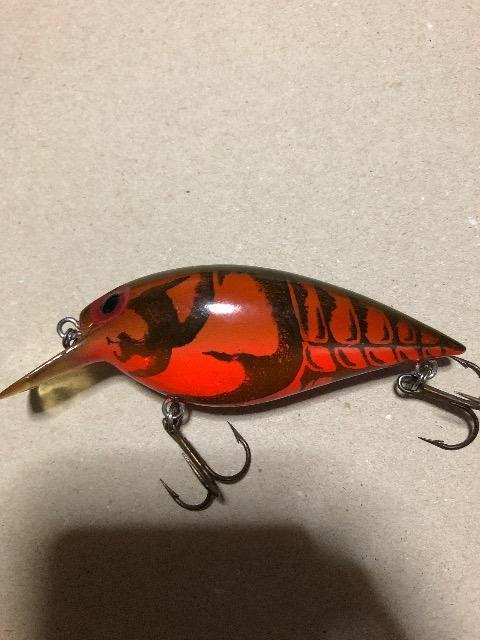 オールドストーム ショートワート大 < レジャー/スポーツ  オールドストーム ショートワート大 < レジャー/スポーツの