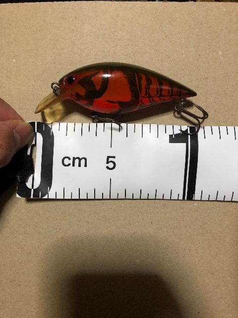 オールドストーム ショートワート大 < レジャー/スポーツ  オールドストーム ショートワート大 < レジャー/スポーツの