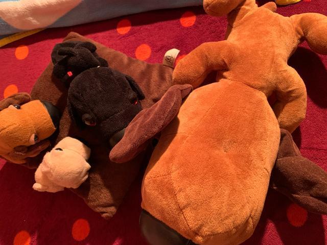 The dog 犬のぬいぐるみセットとクーちゃん 送料無料 < おもちゃ The dog 犬のぬいぐるみセットとクーちゃん 送料無料 < おもちゃの