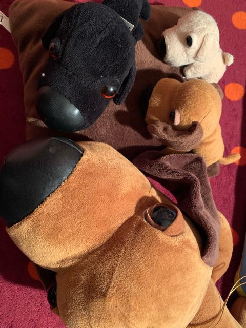 The dog 犬のぬいぐるみセットとクーちゃん 送料無料 < おもちゃ The dog 犬のぬいぐるみセットとクーちゃん 送料無料 < おもちゃの