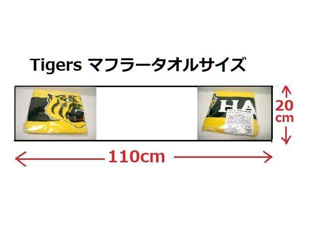 gp_^CK[X}t[^I  W[/X|[c 