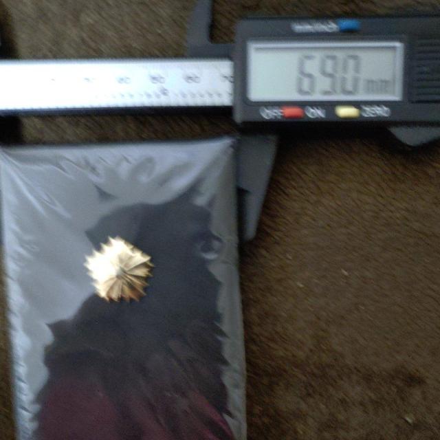 手帳 メモ帳 < インテリア/ライフ  手帳 メモ帳 < インテリア/ライフの