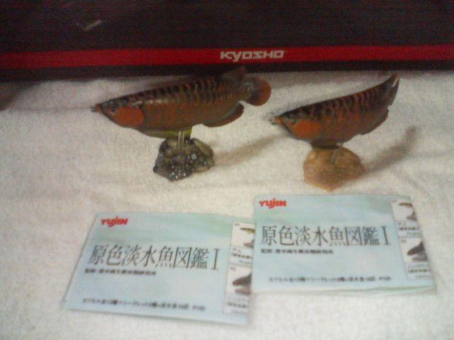 �W�����}��1�@ �A�W�A�A�����i 2��@ ���(�J���[&�m�[�}��)�@  �V�[�N���b�g  �� �z�r�[�� 