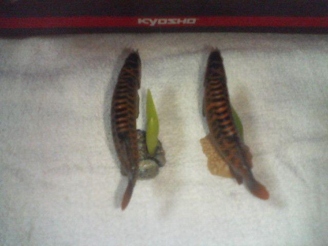 �W�����}��1�@ �A�W�A�A�����i 2��@ ���(�J���[&�m�[�}��)�@  �V�[�N���b�g �� �z�r�[�� 