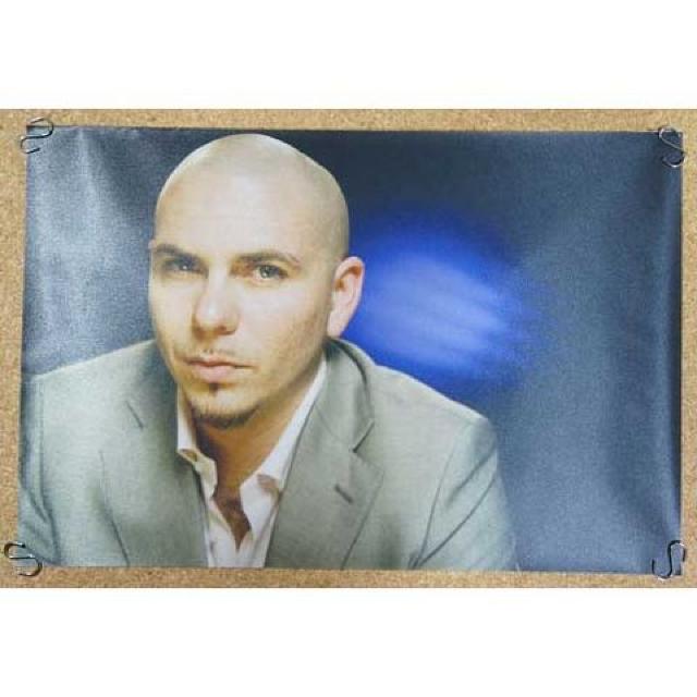 Viyz|X^[zPitbull^sbgu   zr[ 