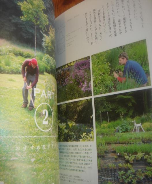 ナチュラルガーデンの四季を彩る草花と花木 ポール・スミザーのおすすめ花ガイド < 本/雑誌  ナチュラルガーデンの四季を彩る草花と花木 ポール・スミザーのおすすめ花ガイド < 本/雑誌の