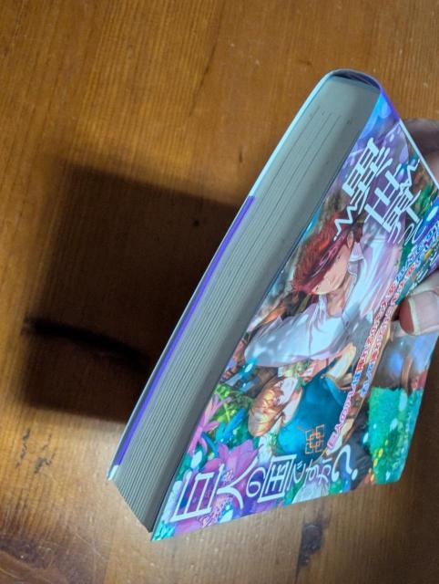 小説 8月刊 BL 異世界って巨人の国ですか? 海野ことり 文庫 < 本/雑誌 小説 8月刊 BL 異世界って巨人の国ですか? 海野ことり 文庫 < 本/雑誌の