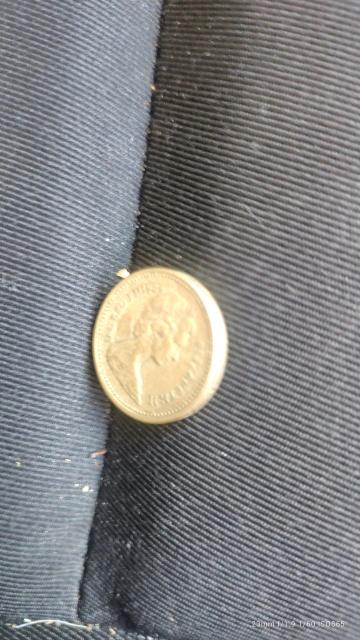 �C�M���X�P�|���h�d�݁i1984�j�� �� �z�r�[�� 