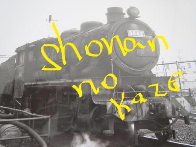 MdȂŜXUuXUSQv̑{łB  zr[ 