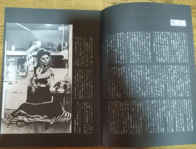 「欲望のあいまいな対象」ルイス・ブニュエル キャロル・ブーケ 映画パンフレット < ホビー  「欲望のあいまいな対象」ルイス・ブニュエル キャロル・ブーケ 映画パンフレット < ホビーの