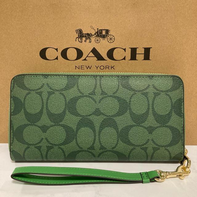 Vi COACHz R[` fB[X Y VOl`[ O[