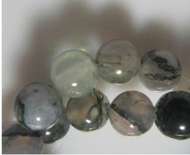 �V�R�΁����X�A�Q�[�g�U���������A �� �y�b�g/��|/���|�� 