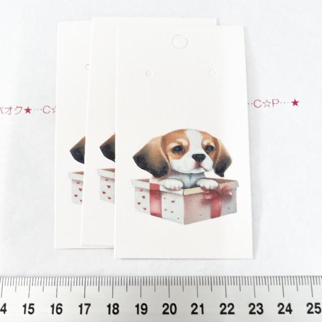 ��i�����̃A�N�Z�T���[�䎆�@3���@�^�O�ɂ���199  �� �C���e���A/���C�t�� 