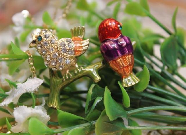 ViSXPnAeB[NlbNX   ANZT[/v 