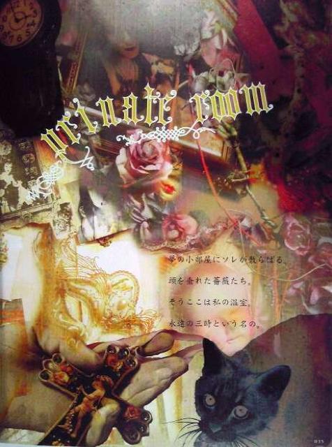 ̎ʐ^WLEuYꂵ뉀vŁ荢st