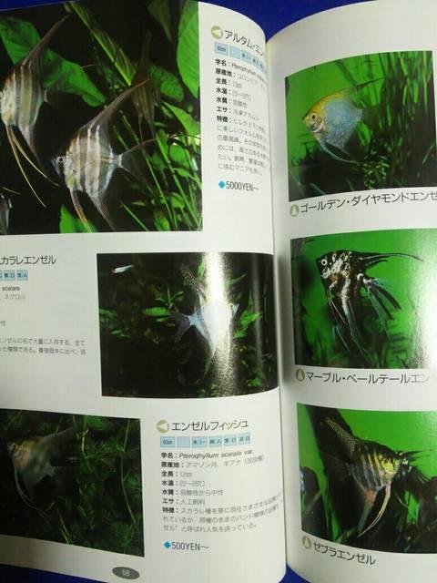 E̔MыJ^O'97 it ̒  ybg/|/| 