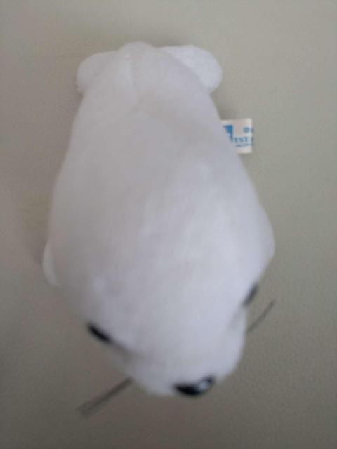 ふわふわかわいい 白いアザラシ ぬいぐるみ マスコット キーホルダーにも < おもちゃ ふわふわかわいい 白いアザラシ ぬいぐるみ マスコット キーホルダーにも < おもちゃの