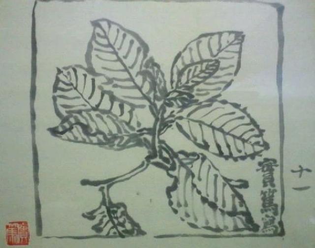 絵画 武者小路実篤『カシワの木』署名印 孫の錦子サインシール付き 真作保証 原画 < ホビー 絵画 武者小路実篤『カシワの木』署名印 孫の錦子サインシール付き 真作保証 原画 < ホビーの