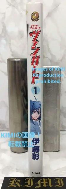 カードファイト!! ヴァンガード (1) コミック – 2011 伊藤 彰 (著) < アニメ/コミック/キャラクター  カードファイト!! ヴァンガード (1) コミック – 2011 伊藤 彰 (著) < アニメ/コミック/キャラクターの