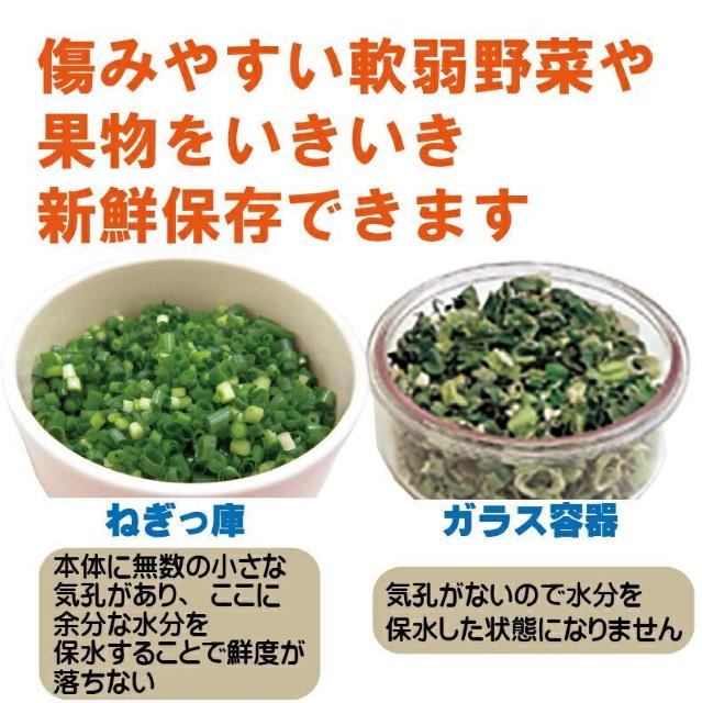 有田焼♪日本製 鮮度キープ 耐熱陶器 セラミックス 保存容器 ニューBIG ねぎっ庫 グリーン < インテリア/ライフ 有田焼♪日本製 鮮度キープ 耐熱陶器 セラミックス 保存容器 ニューBIG ねぎっ庫 グリーン < インテリア/ライフの