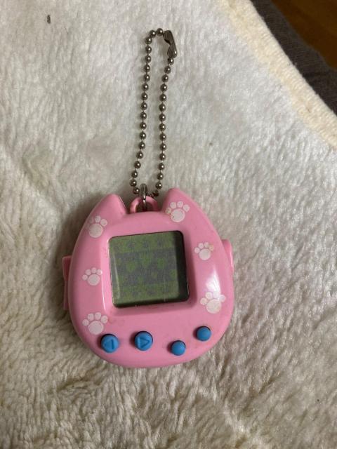 �L�� �d�q�y�b�g �L�[�z���_�[ �琬�Q�[�� �s���N ���g�� ���킢�� �g�уQ�[��  �� �Q�[���{��/�\�t�g�� 