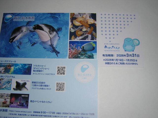 �V�]�m�������ف@���Ҍ��@2��1�g�@2026�N3��31���܂ŗL�� �� �`�P�b�g/������ 