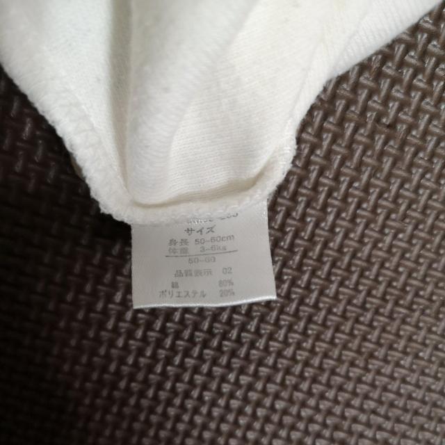 xr[50cm`60cm  LbY/xr[ 